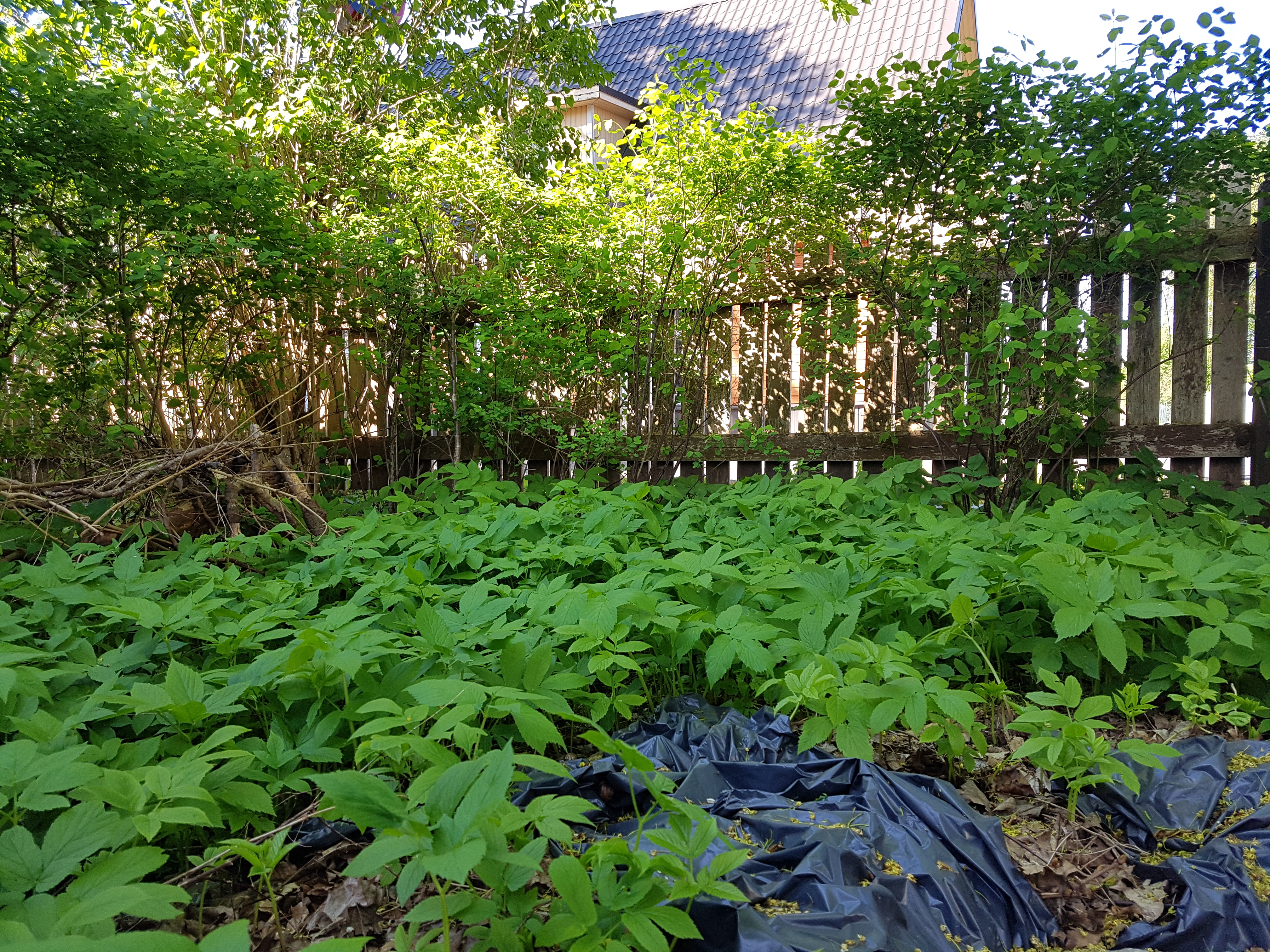 naat, võsa, kompost,aiatööd, appi,