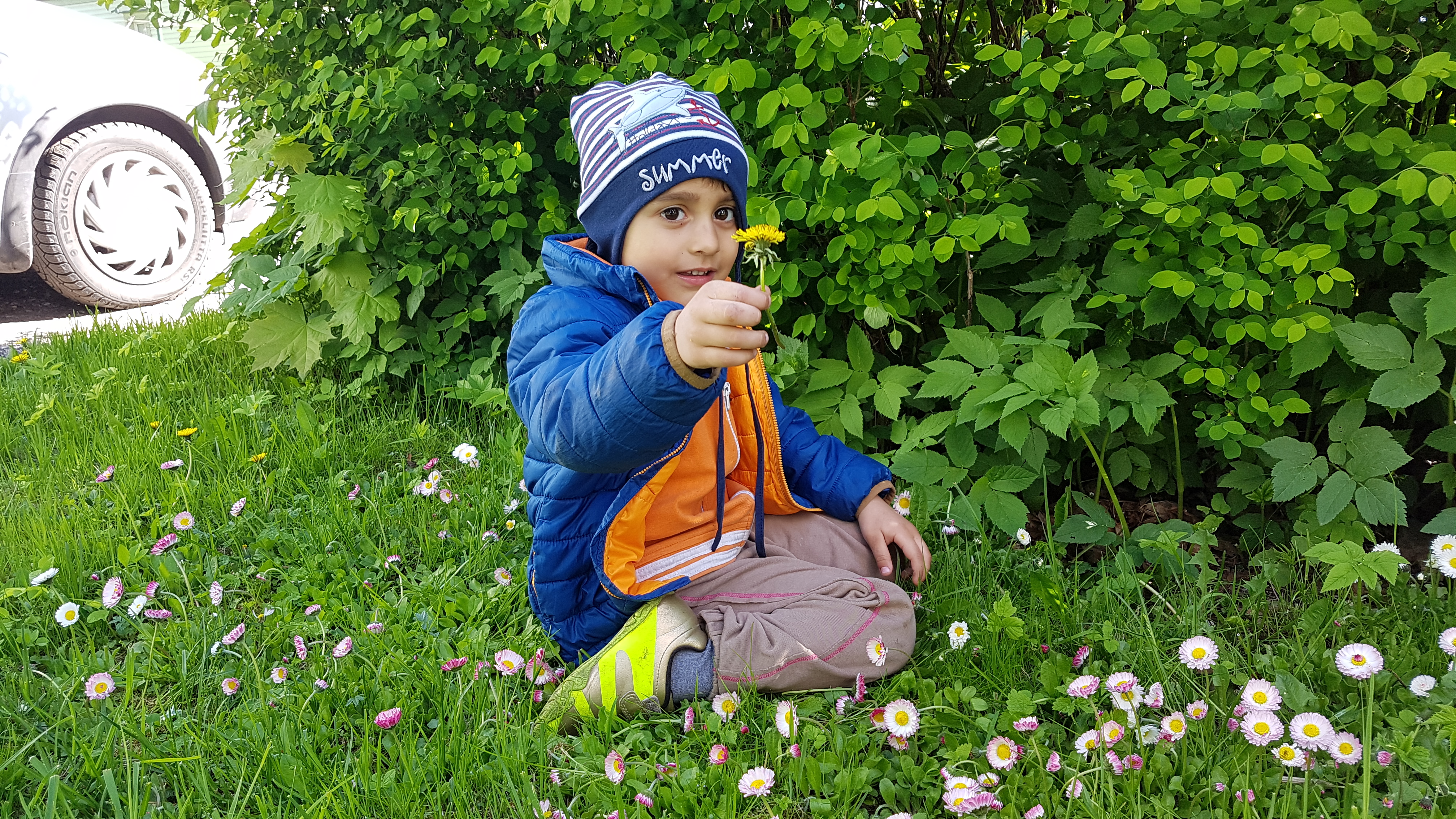 Uue kodu hoovis lustimas, liumägi, väike-posti, uus kodu, lapsed, suvi,, üues